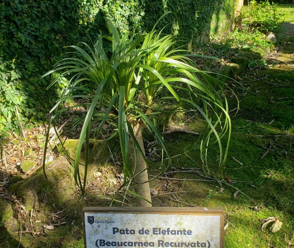 Hotel Fioreze Quero Quero主图