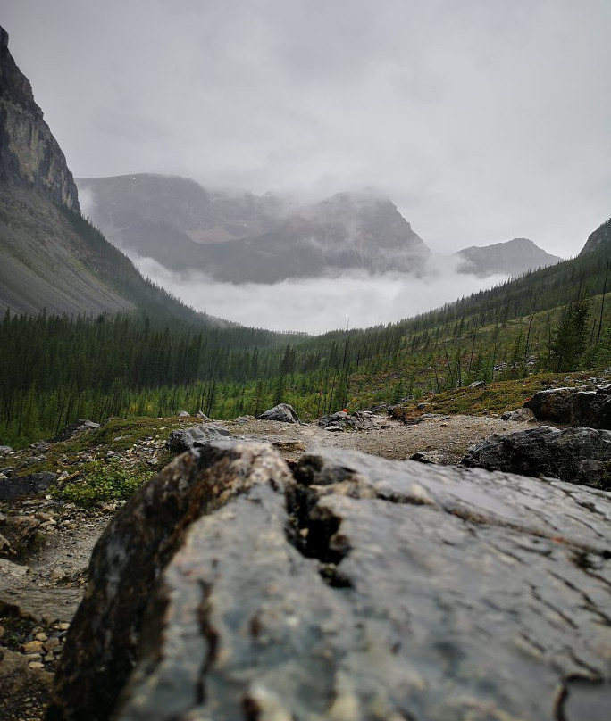 Stanley Glacier景点图片
