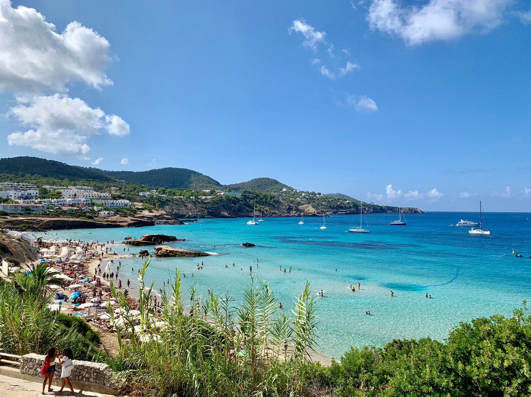 Hotel Vibra Cala Tarida主图