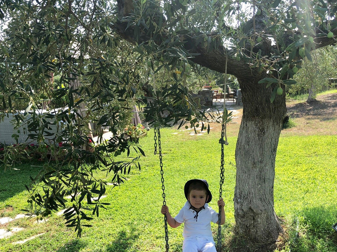 Saint George Hotel主图