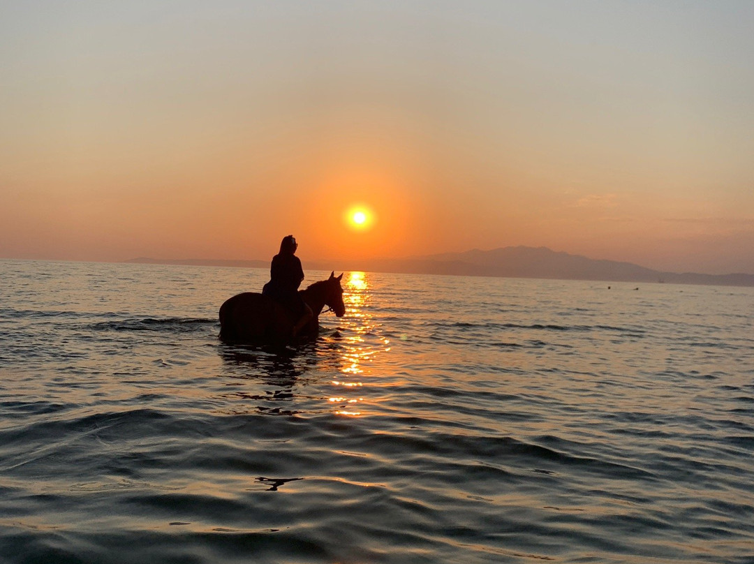 Thassos Horse Club景点图片