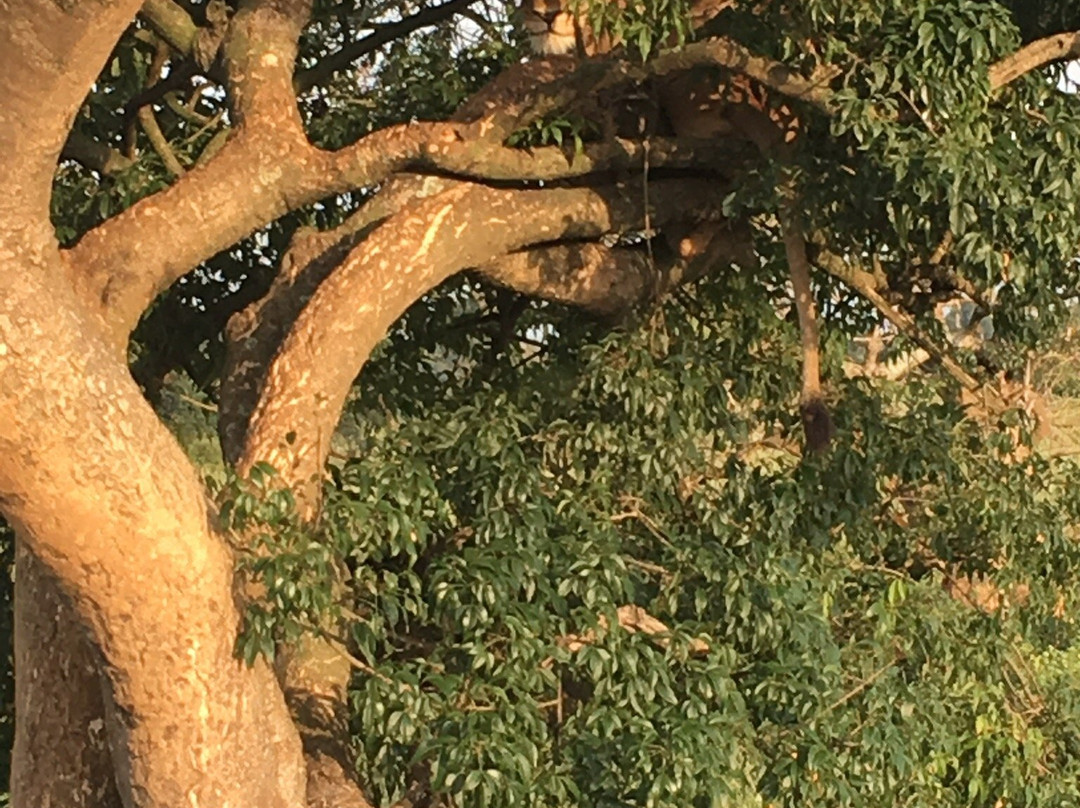 GreTours-恩德培必去景点