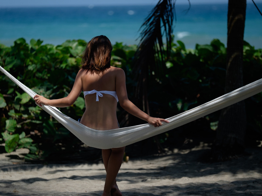 Tayrona Tented Lodge主图