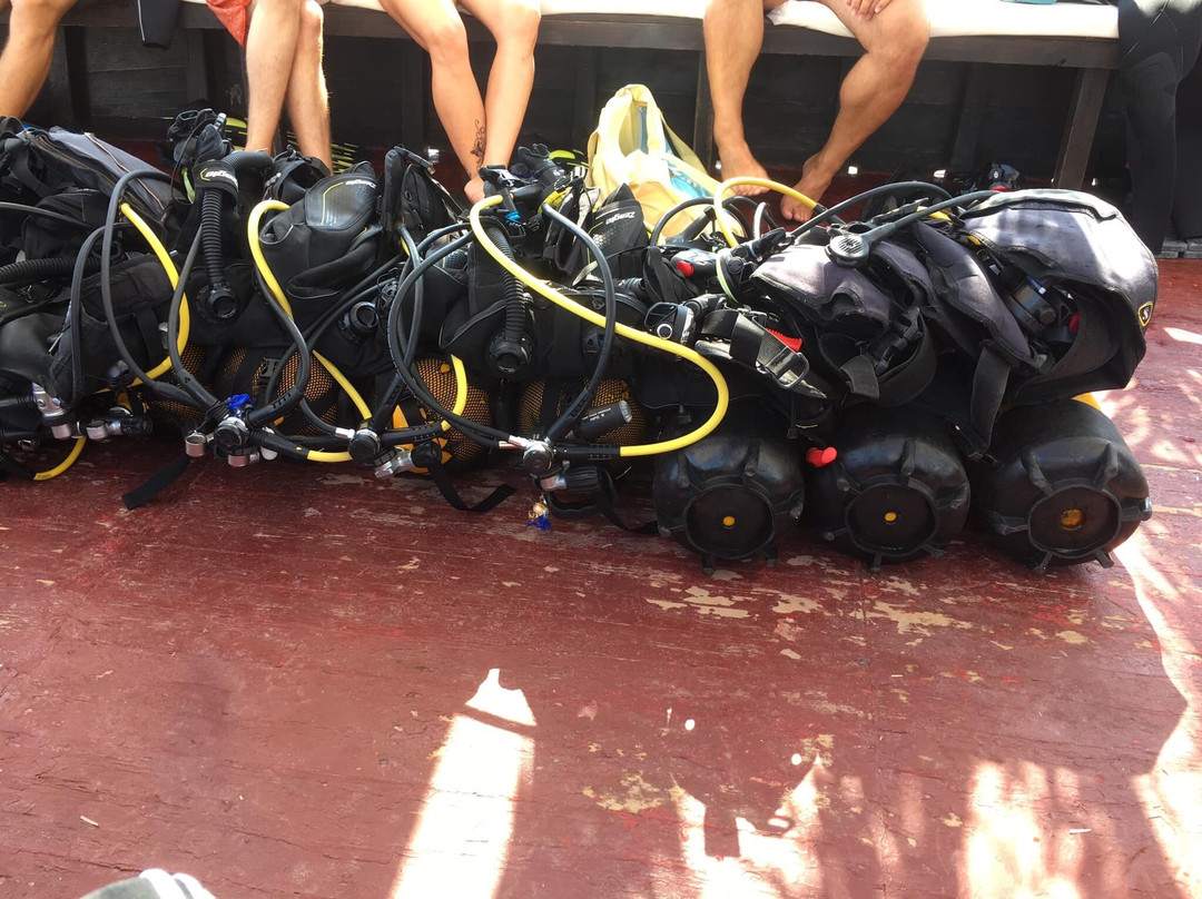 Subway Diving Centre-马赫迪耶必去景点