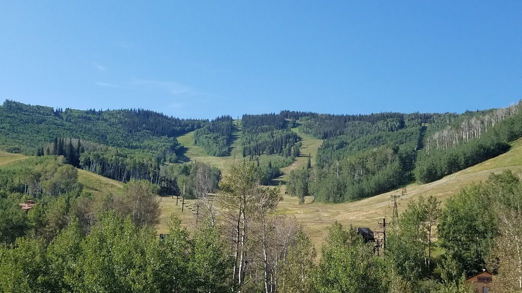 Sunlight Lodge Bed & Breakfast主图