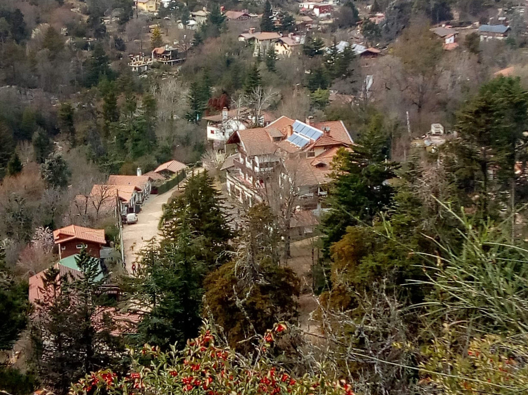 La Cumbrecita旅游攻略图片