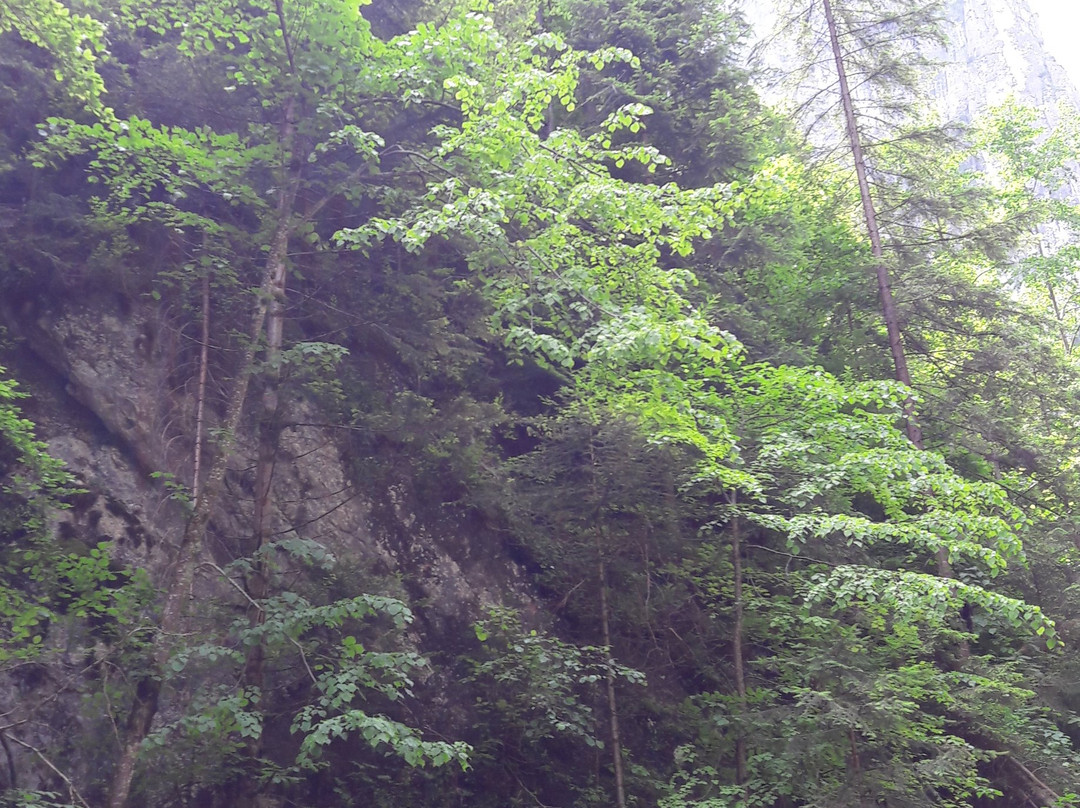Bicaz Gorges-Lacu Rosu必去景点