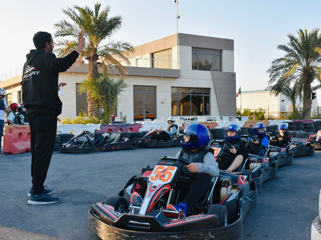 Go Prokart