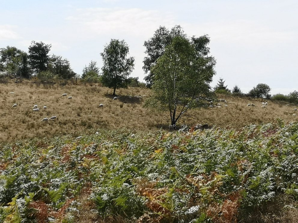 Ferme de la Monédière景点图片