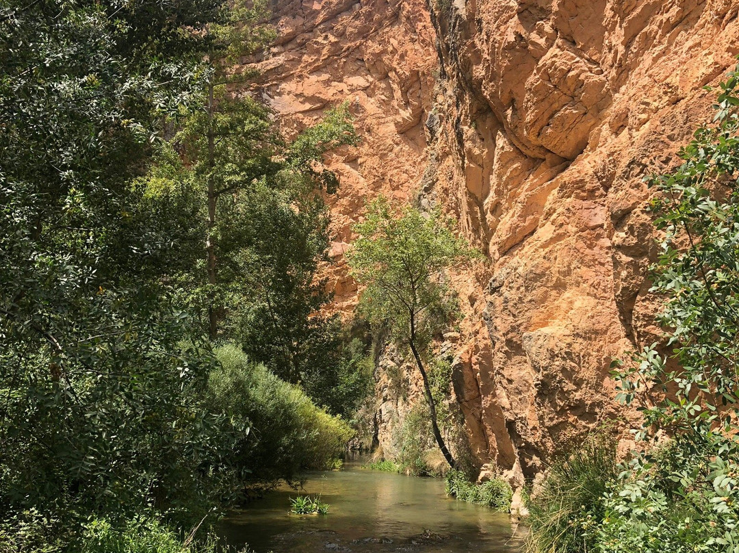 Camino natural del rio Guadalaviar景点图片