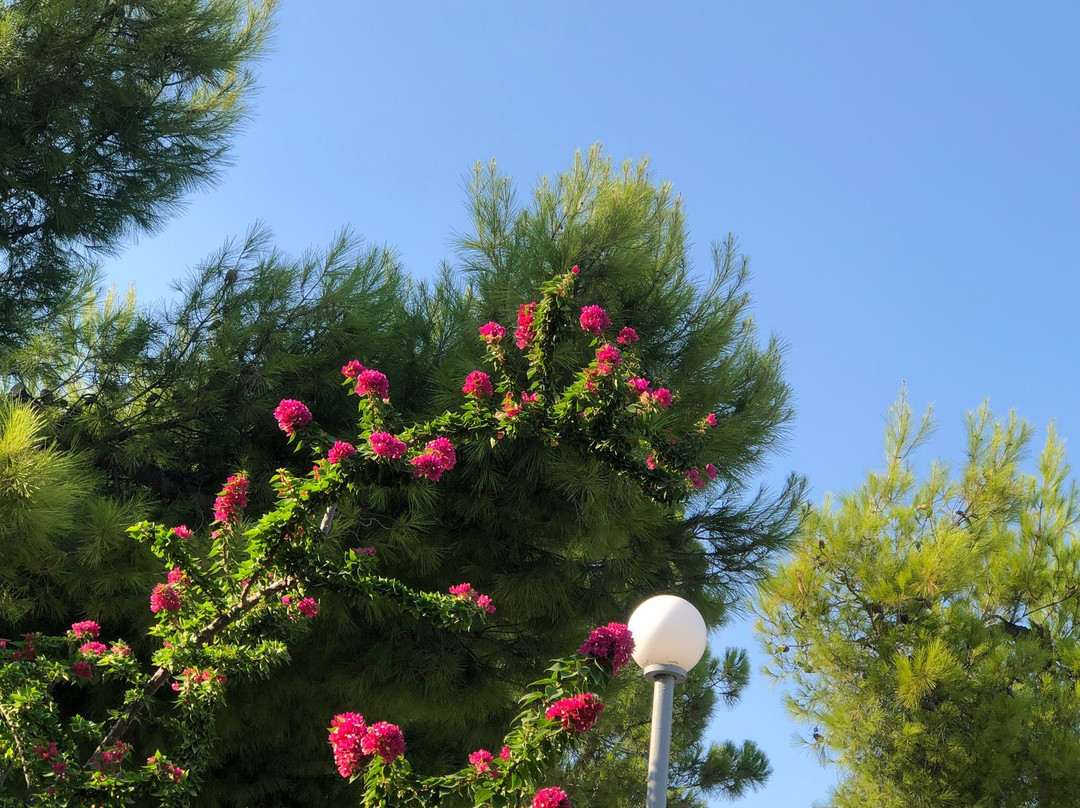 Hotel Kakanakos主图