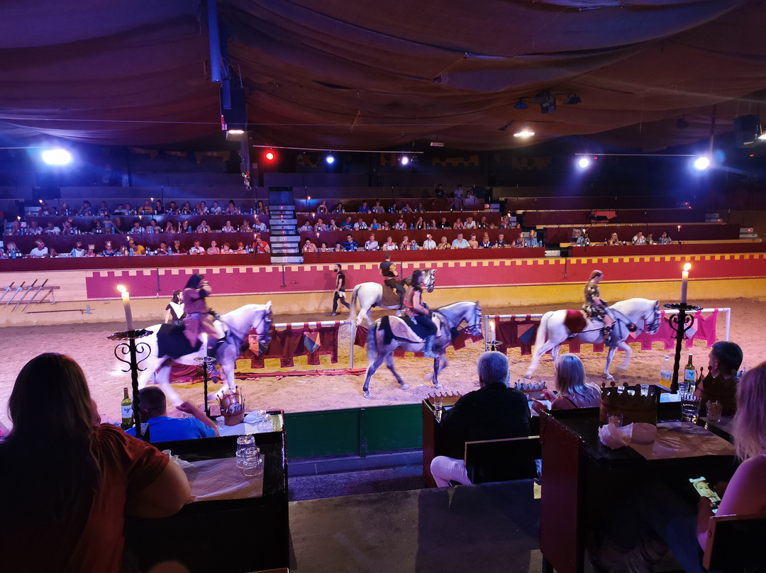 Castell Medieval de Valltordera-Tordera必去景点