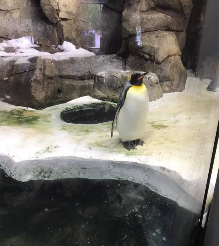 Kansas City Zoo & Aquarium-堪萨斯城必去景点