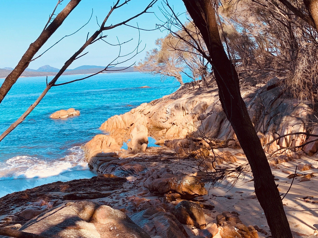 Wineglass Bay and Hazards Beach Circuit景点图片