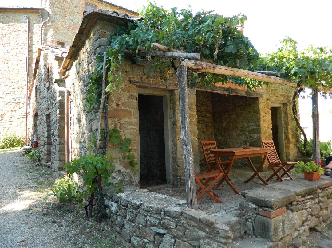 Castello di Gargonza主图
