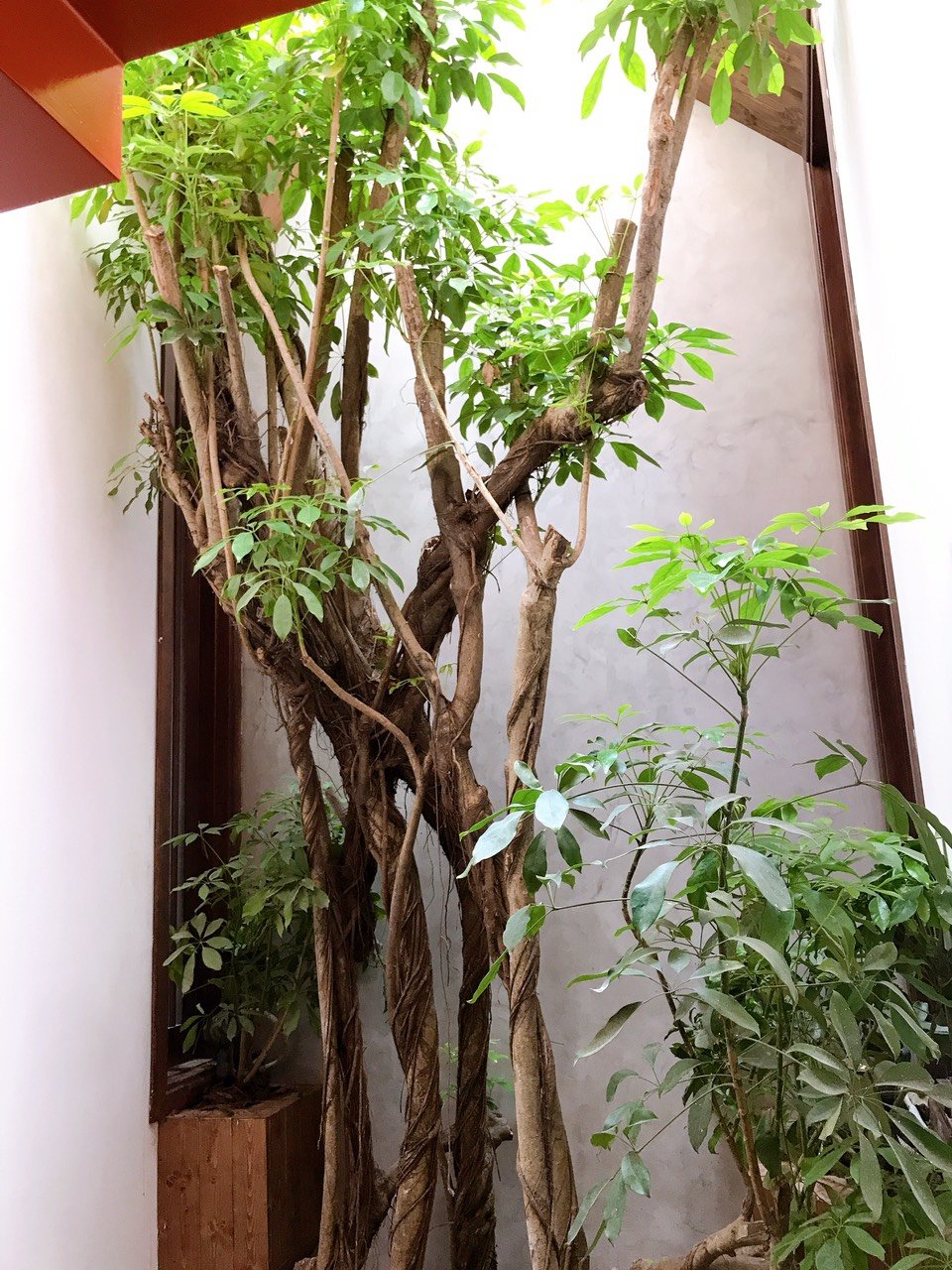 Draha Halong Hotel-酒店景观