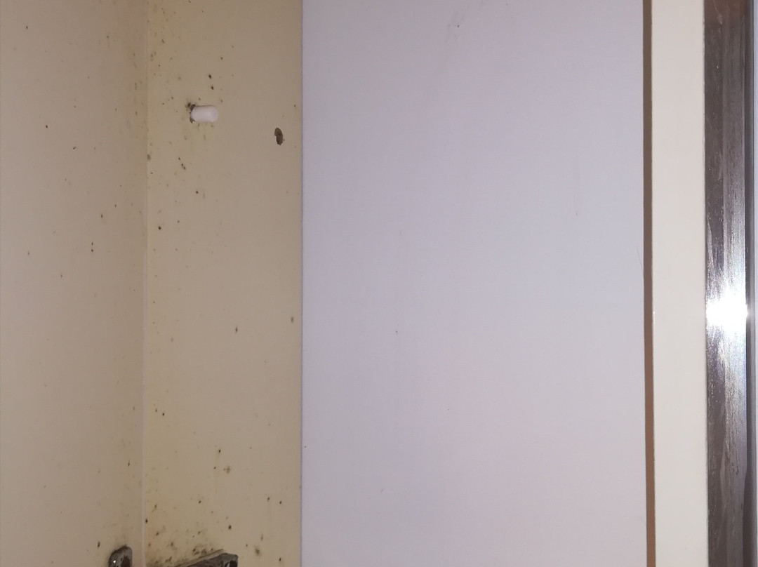 Albergo Altamira主图