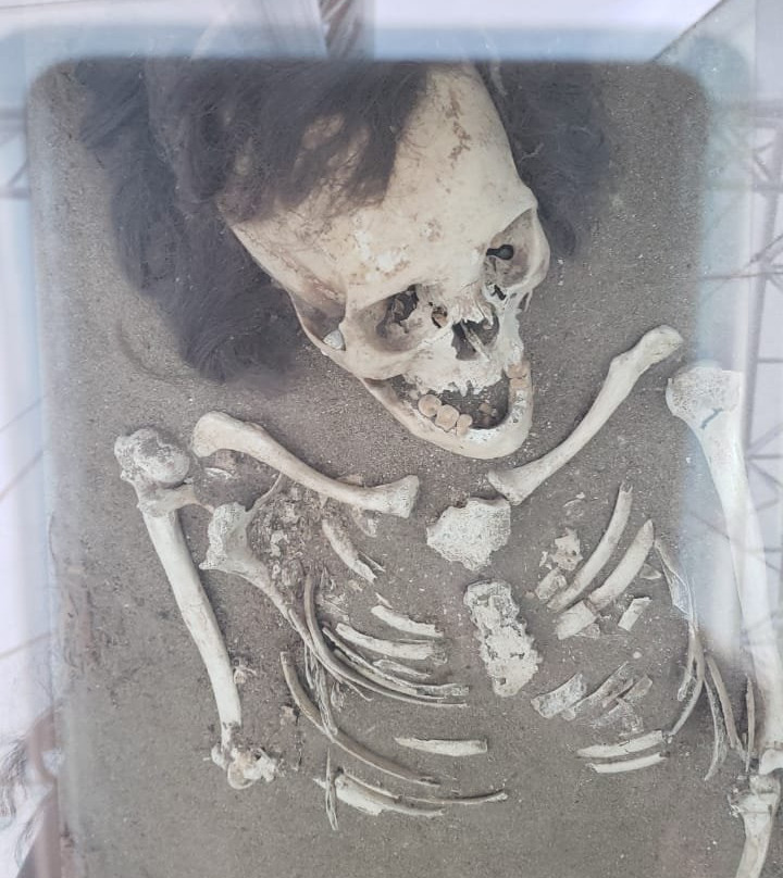 Museo Momias Chinchorro-阿里卡必去景点