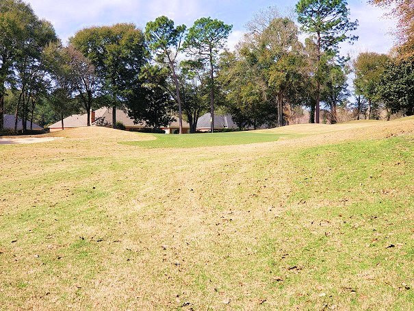 TimberCreek Golf Club景点图片