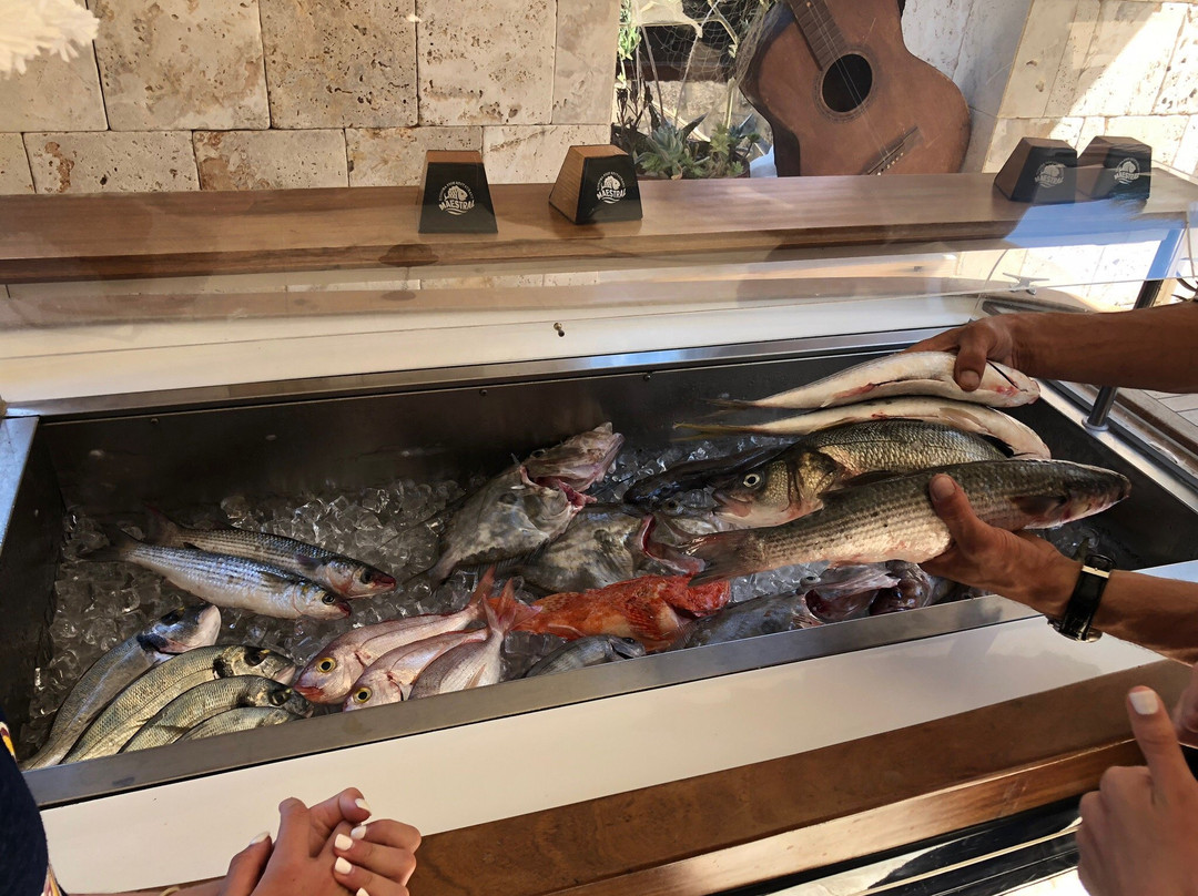 Kotor SpeedBoat Private Tour-科托尔必去景点