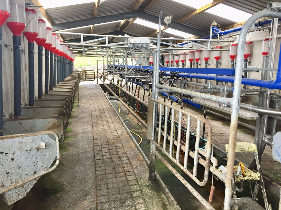 Damerstown Farmhouse B&B主图