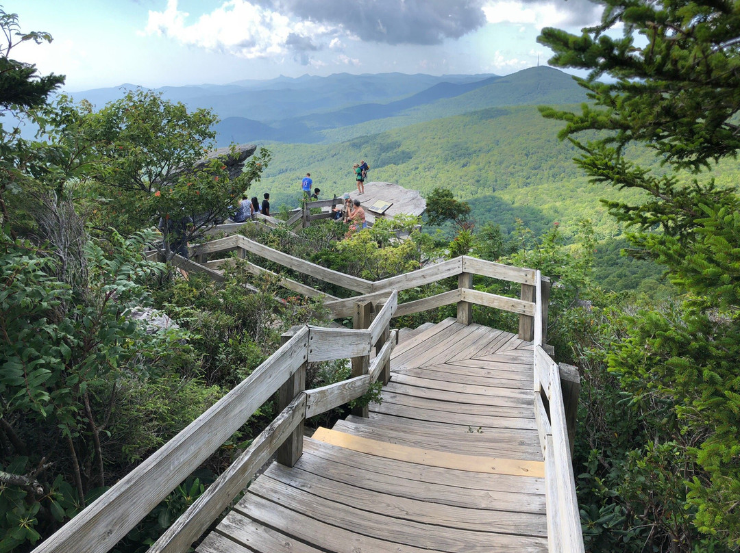 Rough Ridge Lookout景点图片