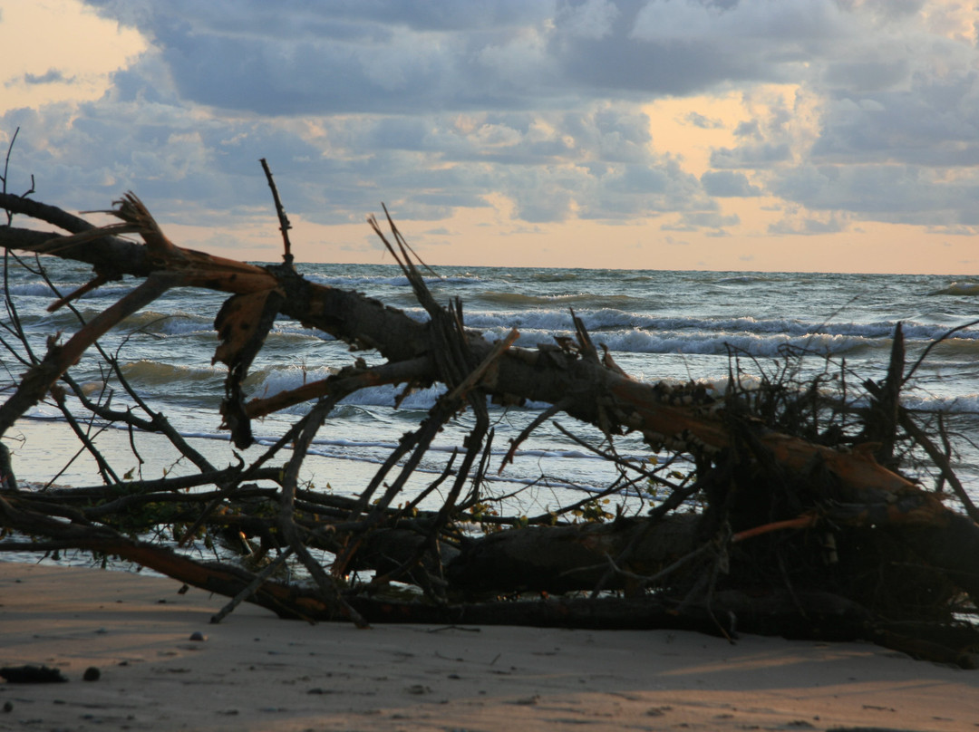 Liedags Guesthouse主图