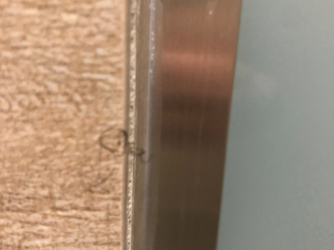 Aloft Miami Aventura主图