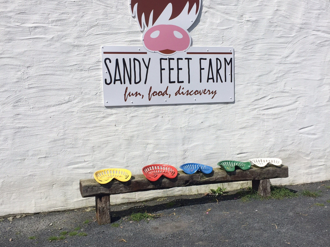 Sandy Feet Farm景点图片