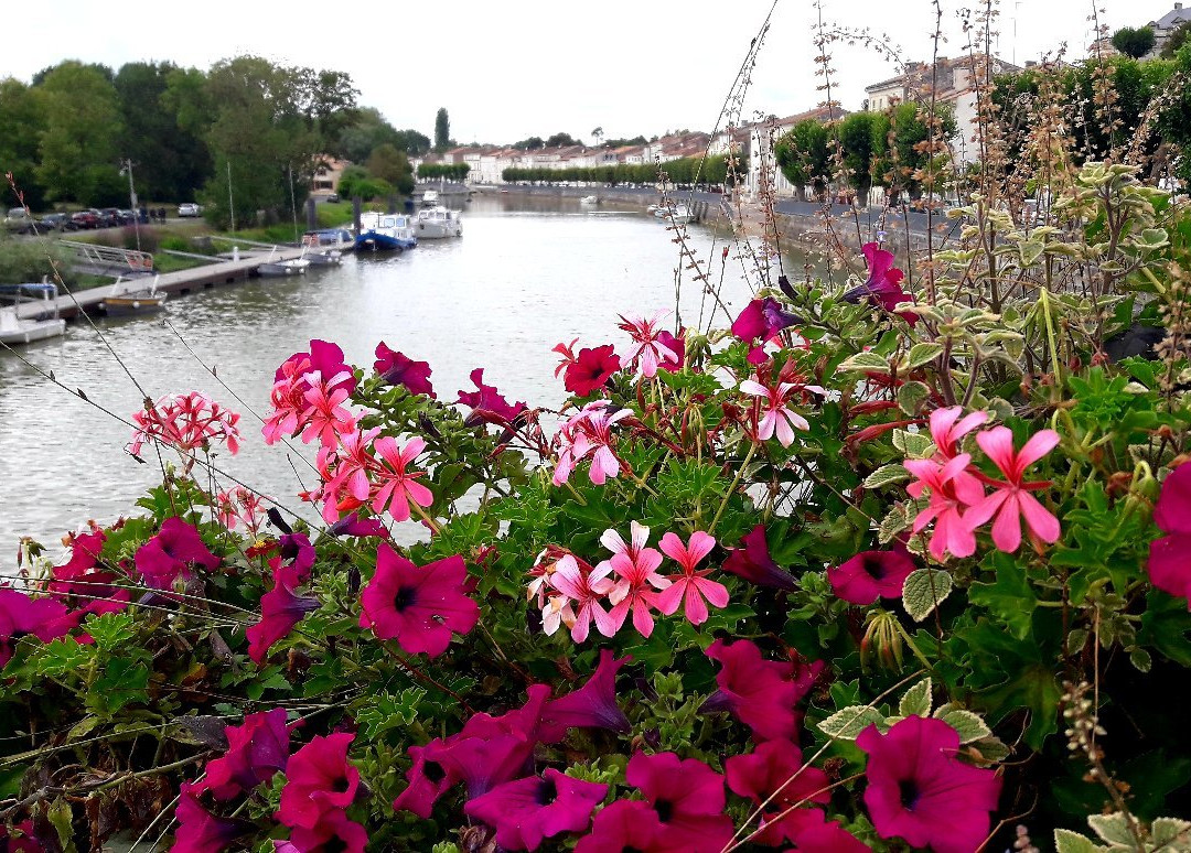 Eglise Saint Savinien-Saint Savinien sur Charente必去景点