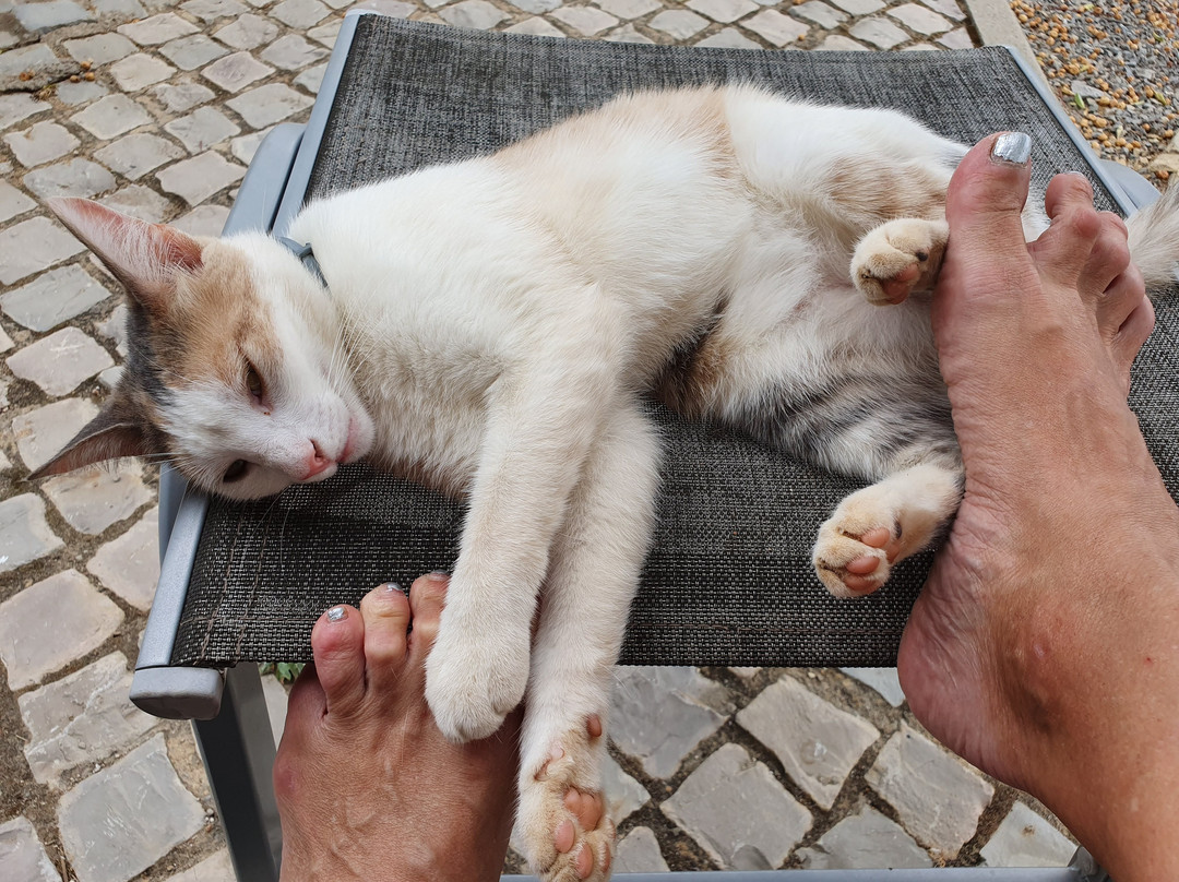 Bed en Breakfast Cas al Cubo主图