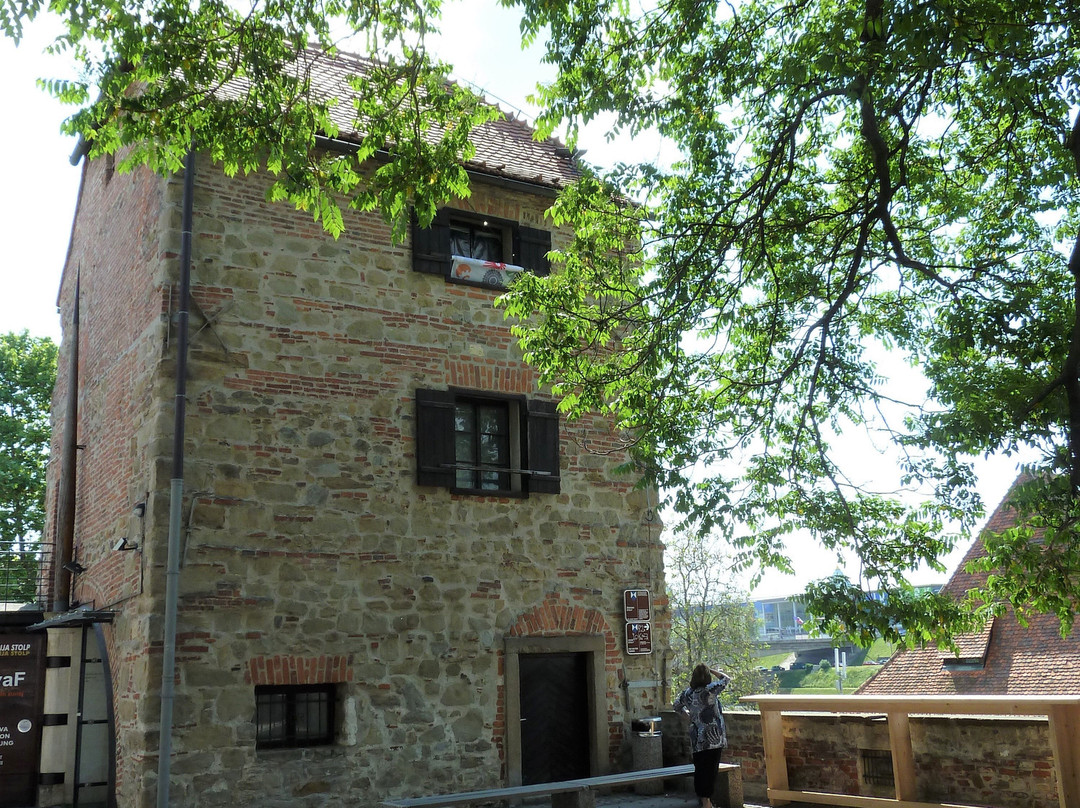 Photo Gallery Tower-马里博尔必去景点