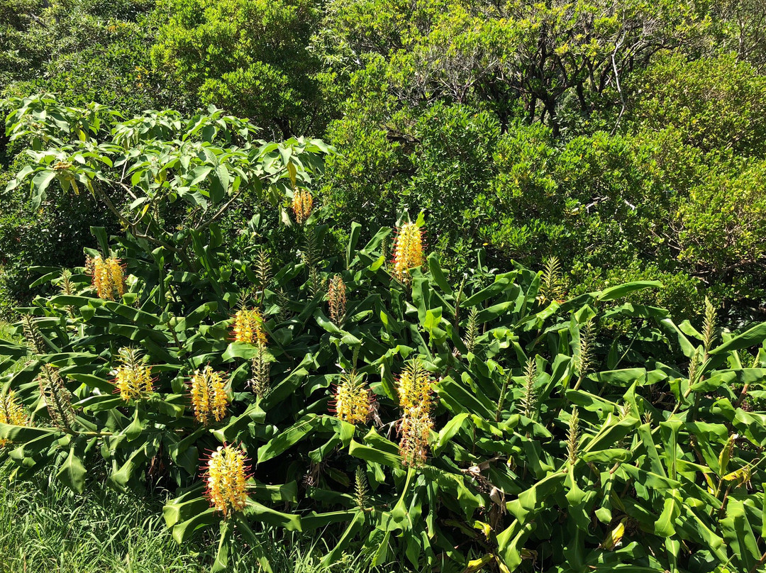 Reserva Florestal de Recreio Luis Paulo Camacho