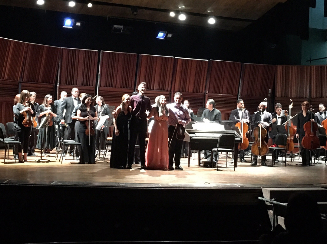 Teatro Municipal de Caracas景点图片