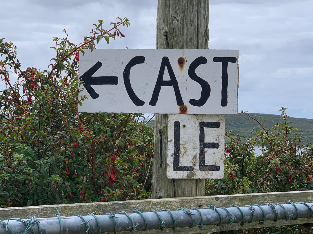 Clifden Castle景点图片