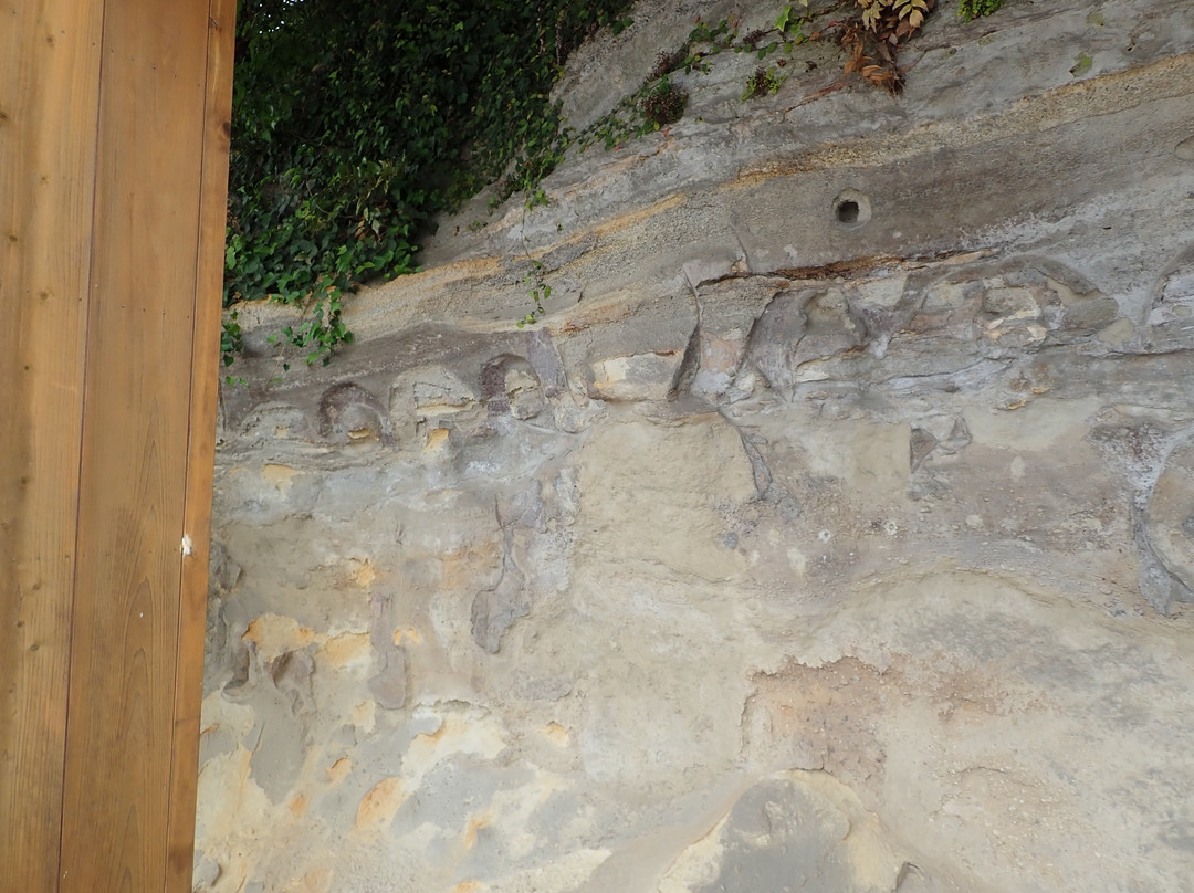 Iwayaji Temple Stone Budda-大分市必去景点