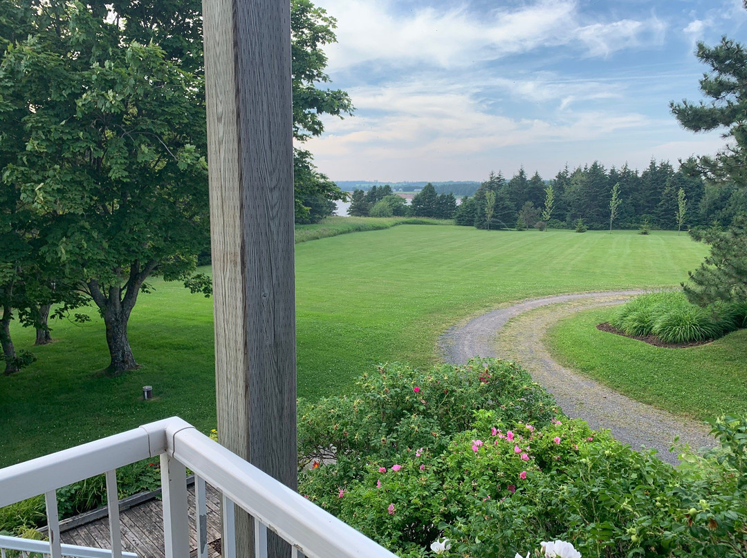 Ned's Landing At Spry Point主图