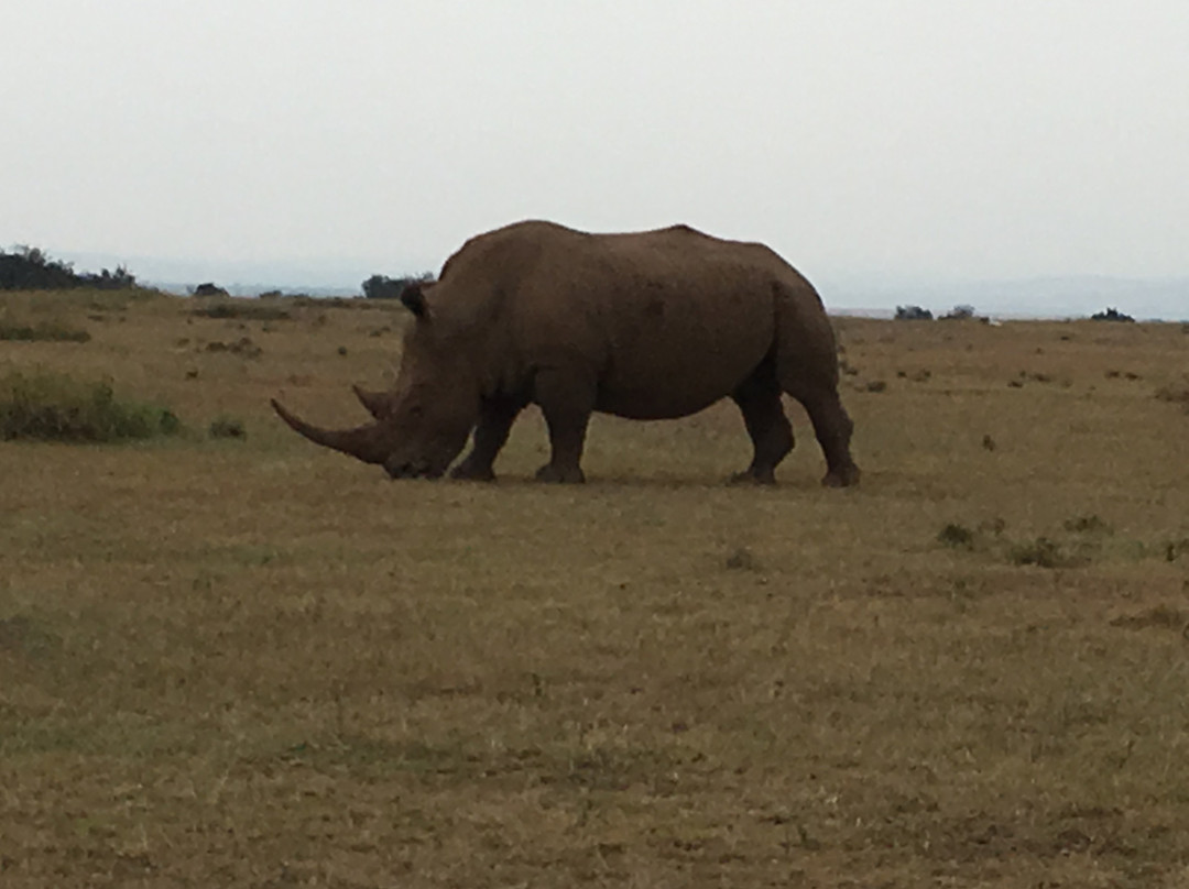 Solio Ranch-涅里必去景点