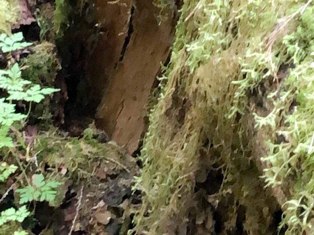 Teapot Hill-Cultus Lake必去景点