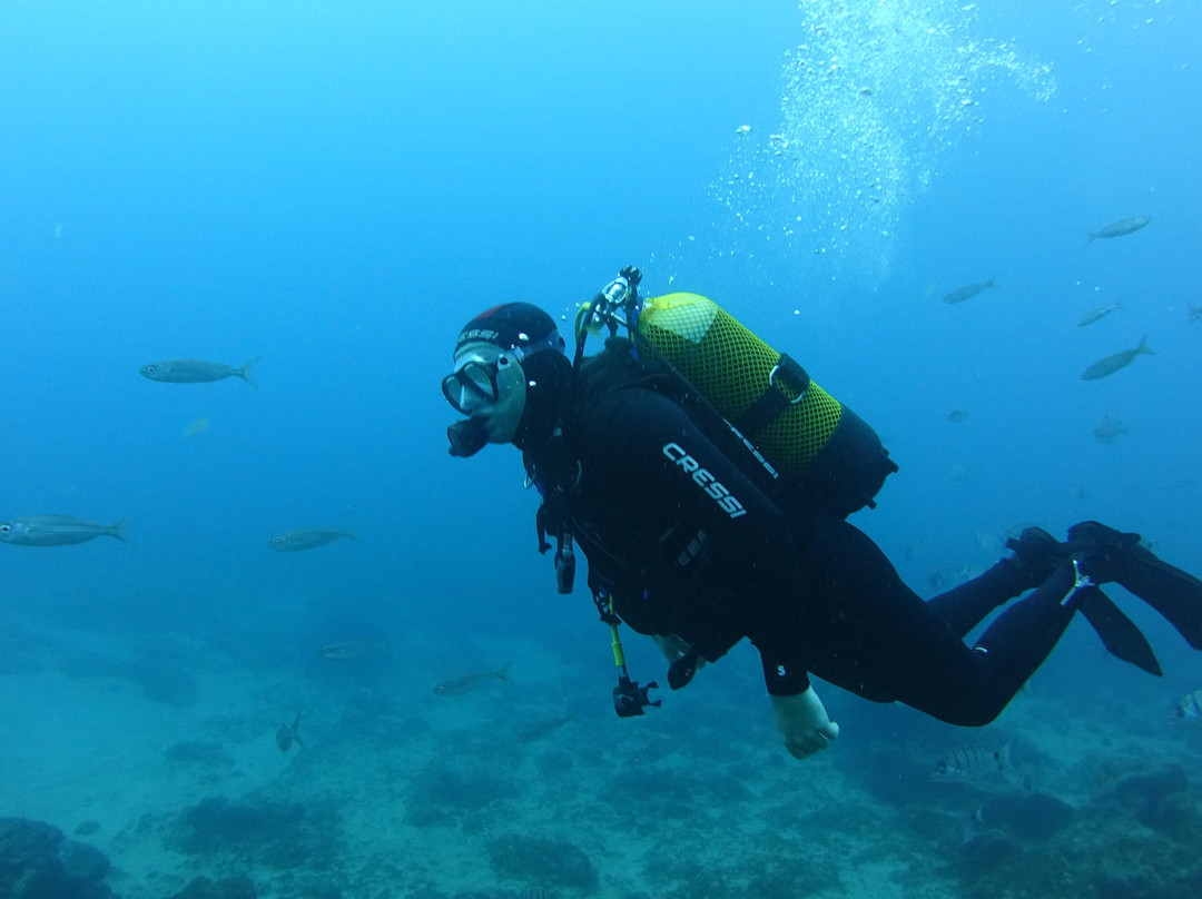Dive Center Ocean Friends-Los Abrigos必去景点