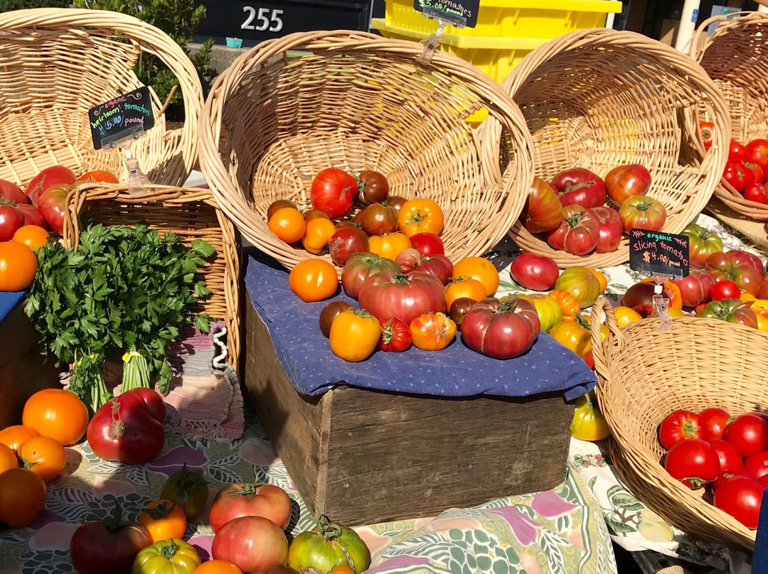 Newport Farmer's Market-纽波特必去景点