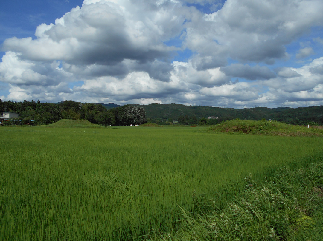 Shimosamuraizukakofun景点图片