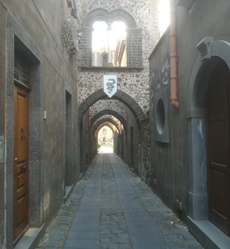 Via degli Archi景点图片