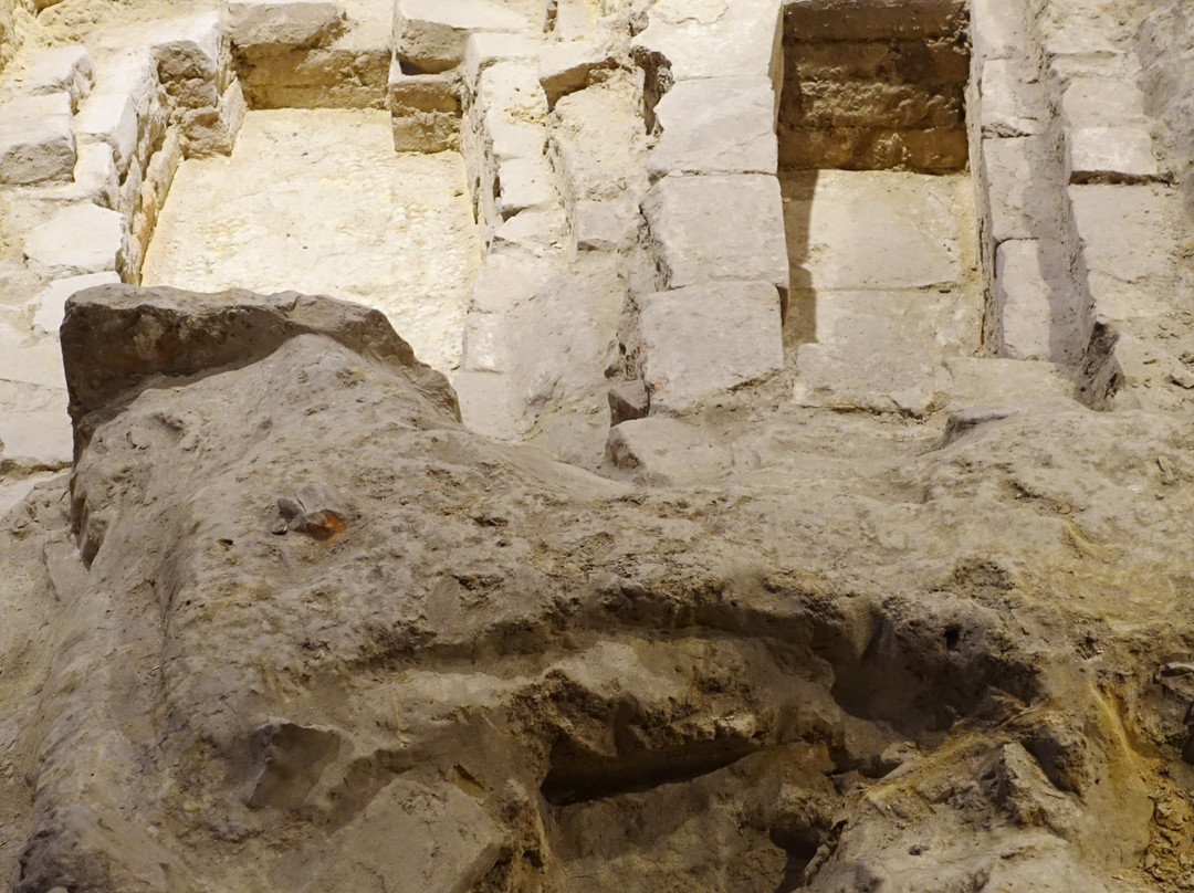 Cripta di Sant'Anastasio e Museo Lapidario景点图片