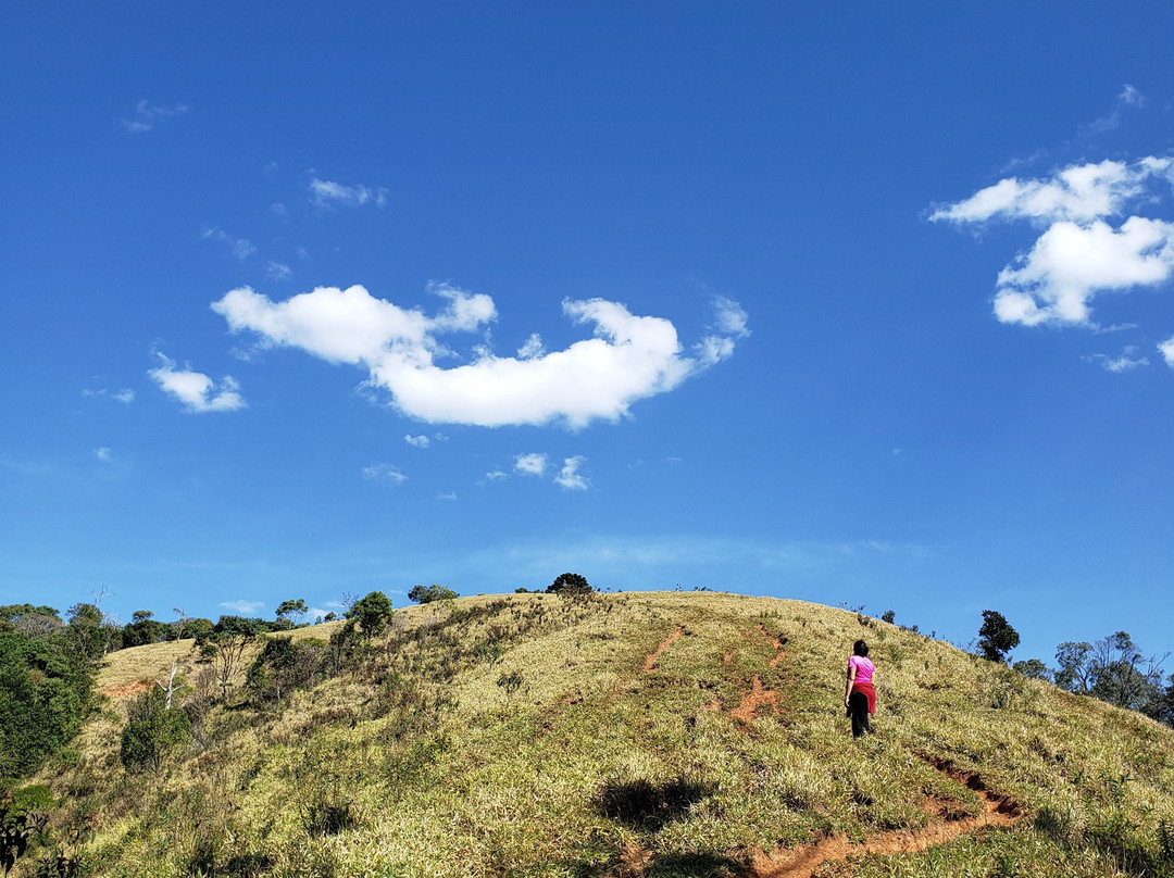 Pousada Fazenda Rio das Pedras主图