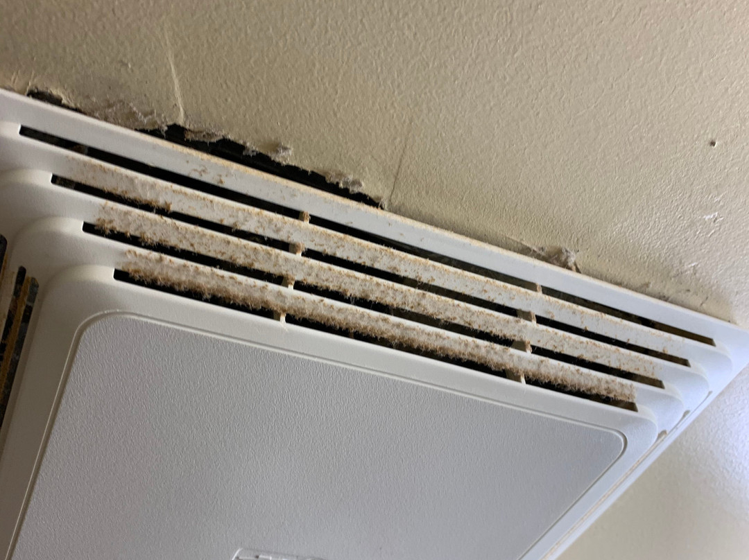 蒙地卡罗及套房市中心马克姆酒店主图