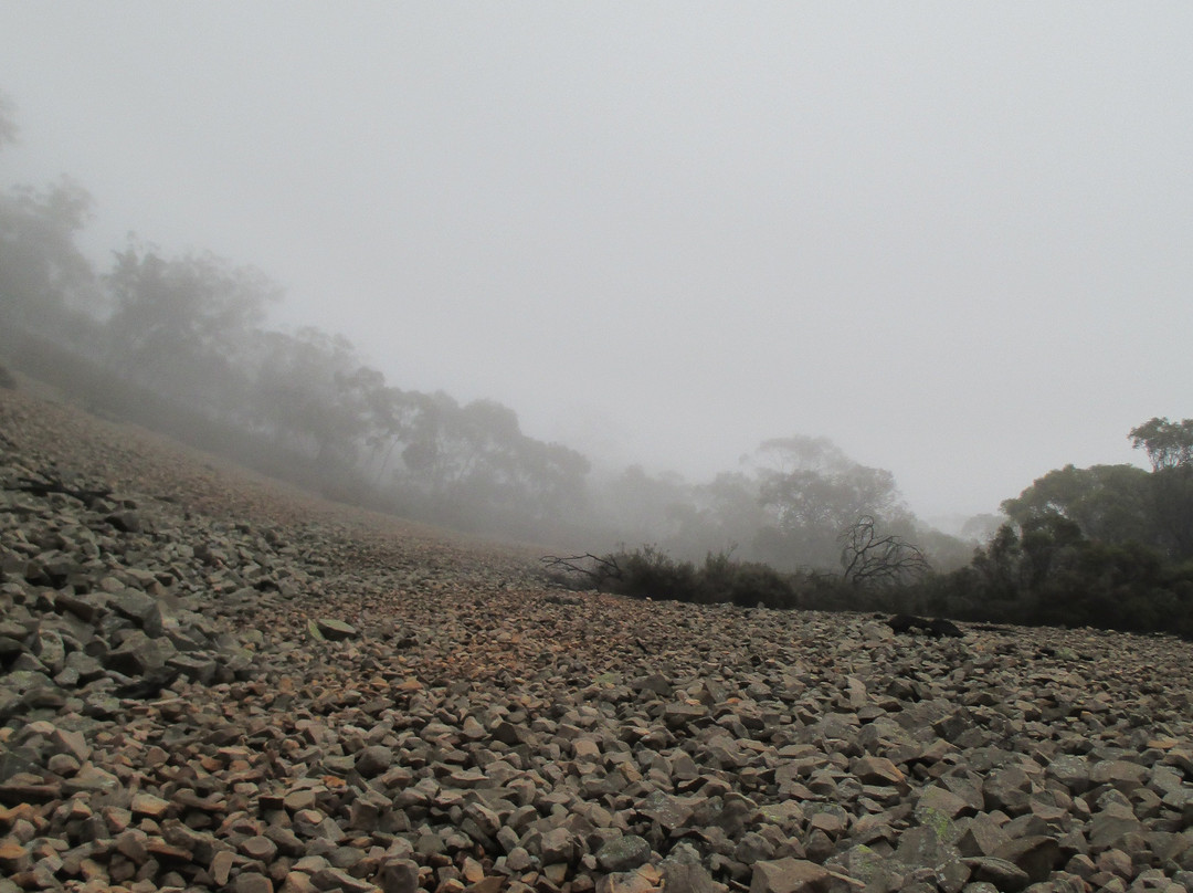 Mount Remarkable Summit Hike景点图片