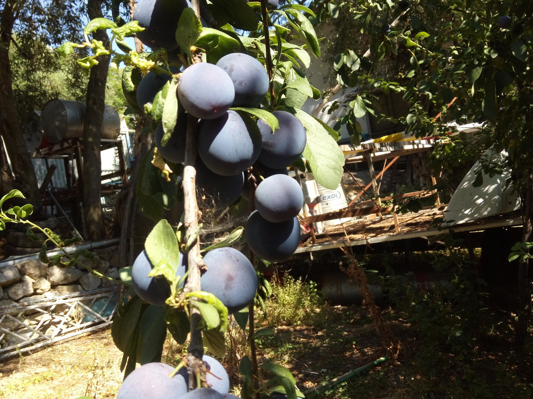 Lido Corfu Sun Hotel主图