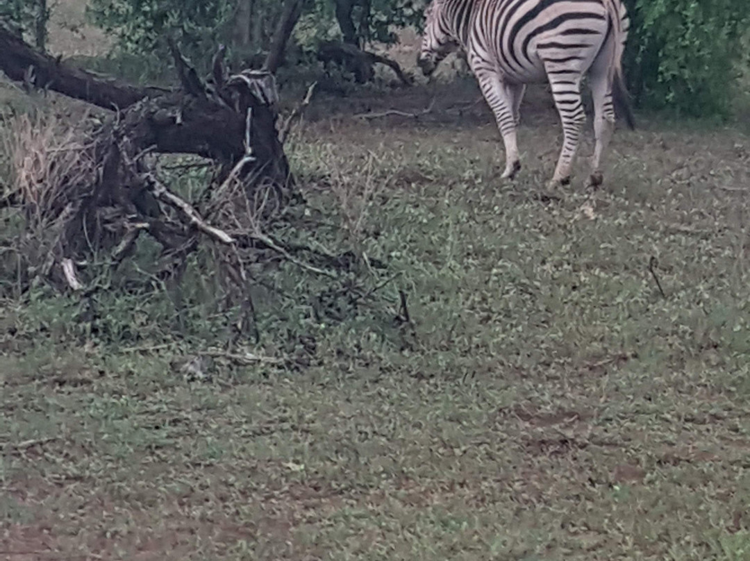 Bushtrackers-约翰内斯堡必去景点