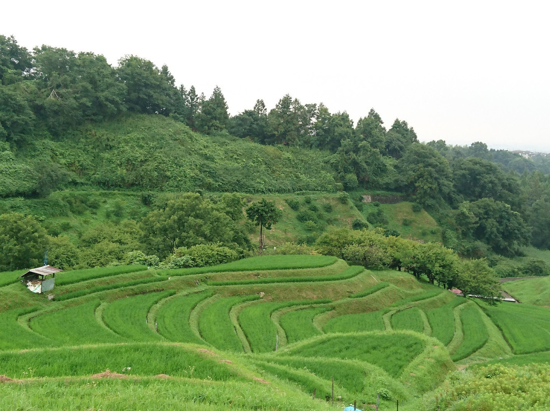 Shimoakasaka Tanada-千早赤阪村必去景点